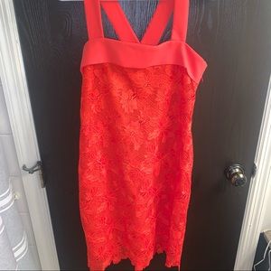Red orange lace Banana Republic dress!